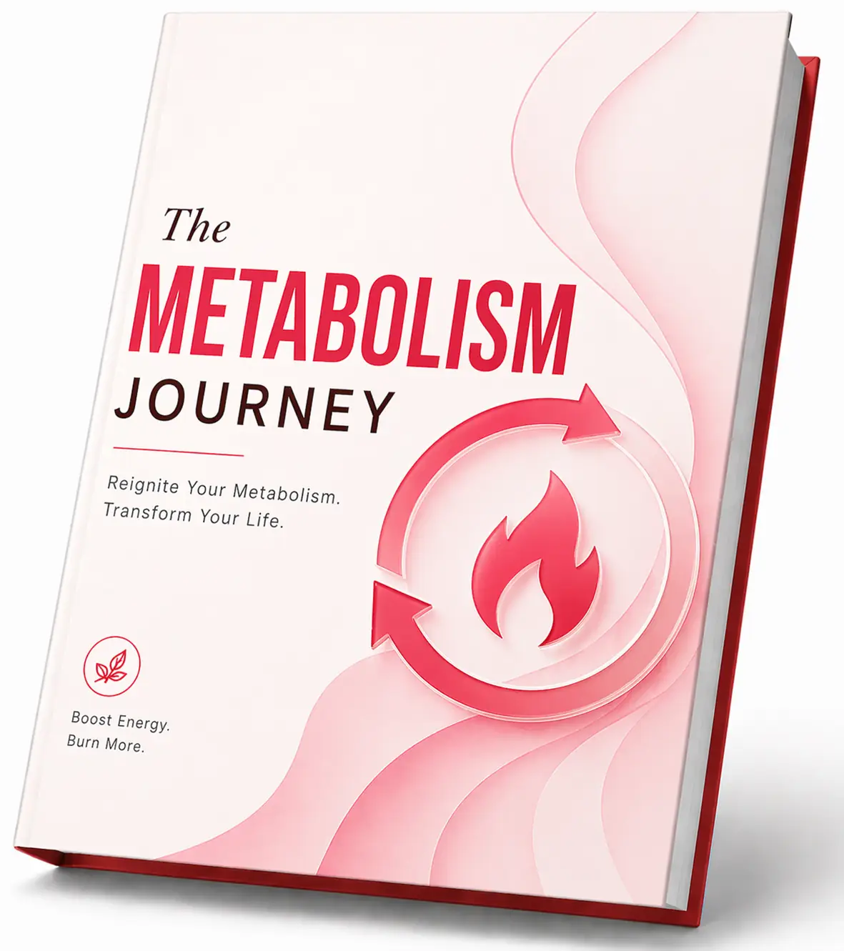The Metabolism Journey